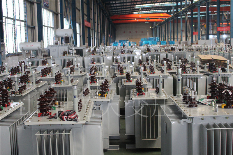 醴陵S22-800KVA/10KV